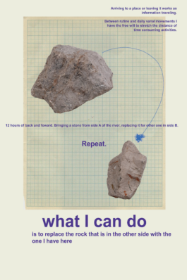 a e dl